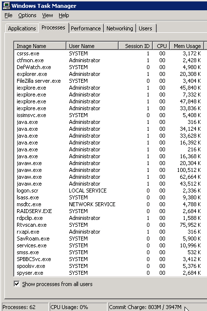 Javaw instances